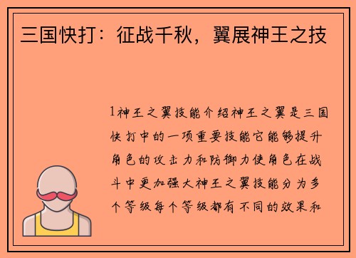 三国快打：征战千秋，翼展神王之技